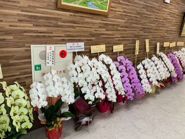 たくさんのお花を頂きました♡ たくさんのお花を頂きました♡