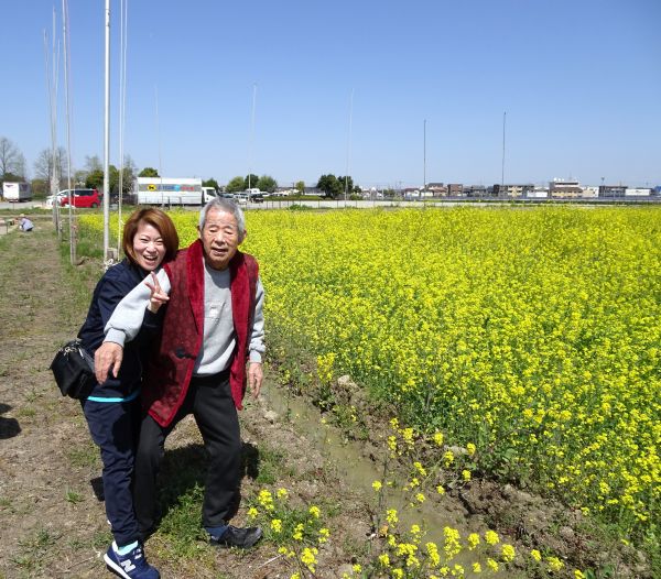 菜の花も綺麗に咲いていました❀ 菜の花も綺麗に咲いていました❀