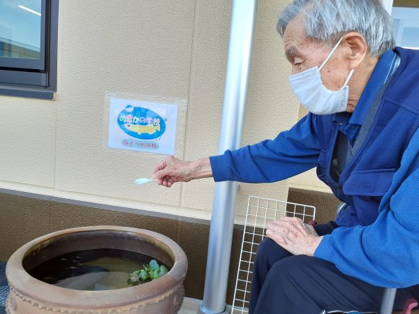 時間を決めてごはんをあげに来てくれています。 時間を決めてごはんをあげに来てくれています。