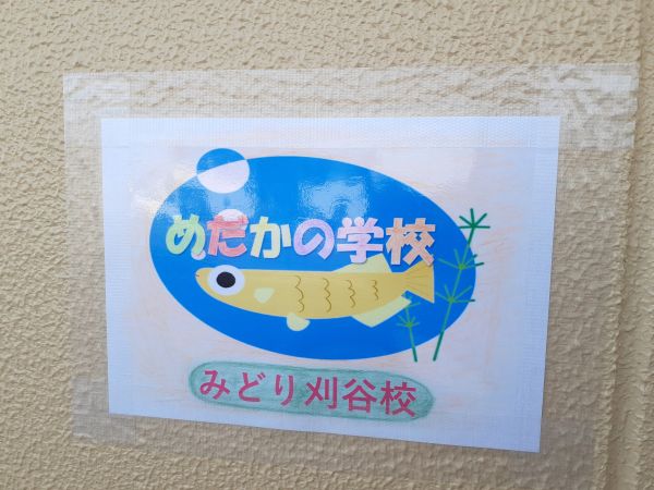 めだかの学校 めだかの学校